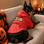 Individuell gestalteter, mehrfarbiger, lustiger Halloween-Hoodie für Hunde mit weichem, bequemem Stoff und Namensaufdruck – das perfekte Halloween-Partygeschenk für Tierliebhaber und Hundebesitzer