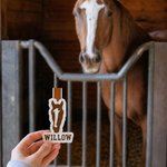 Personalised Horse Portrait Magnetic Bookmark Clip with Name Birthday Holiday Gift for Bookworm Horse Lover