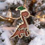Personalised Name Dinosaur Christmas Ornament with Glitter Santa Hat Christmas Gift for Kids Boys