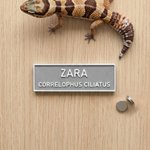 Personlig, 3D-utskriven, flerfärgad magnetisk namnskylten för terrarium med motiv av ödlor, ormar och spindlar – födelsedagspresent till ägare av reptiler och exotiska husdjur