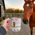 Personalized Multicolour Horse Face Silhouette Mug with Name Daily Use Birthday Holiday Gift for Horse Lover