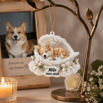 Decorazione personalizzata in acrilico con effetto 3D: foto dell'animale domestico con ali d'angelo, con nome e anno; regalo commemorativo e di condoglianze per i proprietari di animali domestici
