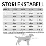 Personlig hundregnjacka med namn och reflex vattentät hundmantel med huva en perfekt höstpresent till hundägare