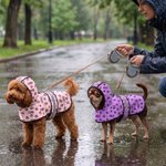 Mantellina impermeabile per cani personalizzata, con simpatica impronta di zampa e nome - Regalo di compleanno per padroni e amanti di animali