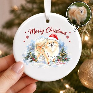 Personalised Watercolor Style Christmas Lights Pet Portrait Circle Heart Ceramic Ornament with Name Home Decor Christmas Gift for Pet Owners