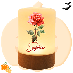 Birth Flower Gifts