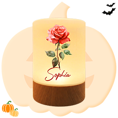 Birth Flower Gifts