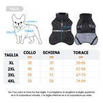 Giacca antivento invernale per cani personalizzata con nome - Regalo per amanti degli animali