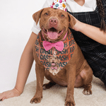 Bandana souple multicolore pour animal de compagnie, personnalisé avec une photo aquarellée et son nom – Cadeau d'anniversaire ou pour une fête, destiné aux propriétaires et aux amoureux des animaux