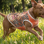 Gilet en coton doux pour animal de compagnie, personnalisé avec un portrait d'animal à l'aquarelle et une photo, avec son nom – Vêtement de tous les jours, cadeau d'anniversaire pour les propriétaires