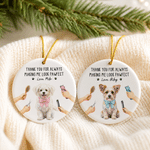 Personalised Cute Cartoon Pet Groomer Ceramic Ornament with Text Home Decor Christmas Birthday Gift for Pet Groomer Lover