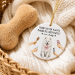 Personalised Cute Cartoon Pet Groomer Ceramic Ornament with Text Home Decor Christmas Birthday Gift for Pet Groomer Lover