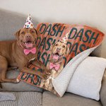 Personalized Watercolor Style Pet Portrait Soft Throw Beanie Pet Blanket with Name Home Decor Birthday Pet Memorial Gift for Dog Cat Pet Owners Lovers