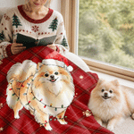 Individuell gestaltete Weihnachtsmütze – karierte Kuscheldecke mit Cartoon-Figur und Haustierfoto, mit Namen – Wohnaccessoire und Weihnachtsgeschenk für Familie und Kinder