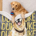 Personalized Watercolor Style Pet Portrait Soft Throw Beanie Pet Blanket with Name Home Decor Birthday Pet Memorial Gift for Dog Cat Pet Owners Lovers