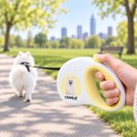 Personalisierte Hundeleine mit Foto & Namen | 3 m reflektierendes Gurtband | Rollleine | Hundezubehör | Geschenk für Herrchen & Frauchen