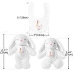Personalized My First Easter Cute Plush Stuffed Animal Toy Bib with Name and Year Easter Gift for Kids Babies Newborns