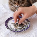 Individuell gestaltete Keramikschale mit 3D-Effekt, Blumenmotiv und Haustierfoto als Schmuckablage mit Namensgravur – Geschenk für den täglichen Gebrauch, zum Jahrestag oder Geburtstag für Haustierbes