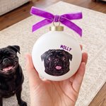 Personalised Hand Painted Style Cat Dog Portrait Ribbon Bow Ceramic Bauble Ornament with Name Festive Tree Decor Christmas Gift for Pet Lovers