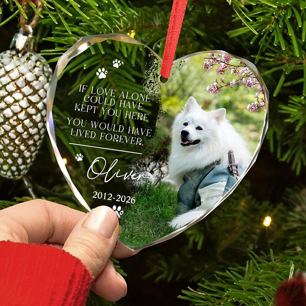 Personalized Paw Print Photo Heart Round Ornament with Name and Year Tree Decor Birthday Memorial Christmas Gift for Pet Lovers Owners 3