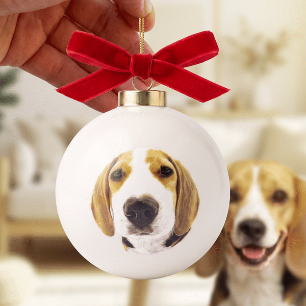 Personalized Hand Painted Style Cat Dog Portrait Ribbon Bow Ceramic Bauble Ornament with Name Festive Tree Decor Christmas Gift for Pet Lovers