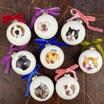 Personalised Hand Painted Style Cat Dog Portrait Ribbon Bow Ceramic Bauble Ornament with Name Festive Tree Decor Christmas Gift for Pet Lovers