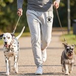 Personalized Paw Print Walking Dog Comfortable Pocket Drawstring Sports Sweatpants with Name Birthday Gift Dog Owners