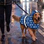 Gepersonaliseerde, schattige regenjas voor huisdieren met hartvormige strik, naam en reflecterende streep – voor de dagelijkse verzorging van huisdieren, een verjaardagscadeau voor hondenbezitters