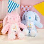 Personalized My First Easter Bunny Butterfly Stuffed Plush Bunny Toy with Name and Year Easter Birthday Gift for Babies Kids