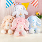 Personalized My First Easter Bunny Butterfly Stuffed Plush Bunny Toy with Name and Year Easter Birthday Gift for Babies Kids