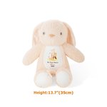 Personalized My First Easter Bunny Butterfly Stuffed Plush Bunny Toy with Name and Year Easter Birthday Gift for Babies Kids