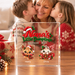 Personalized Christmas Theme Small Dumplings Big Love Square Acrylic Plaque with 2-6 Names Home Decor Christmas Gift for Grandma Family