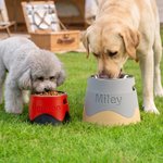 Personalised 3D Printed Elevated Dog Bowl with Name Stainless Steel Two Tone Raised Pet Diner Gift for Dog Owners
