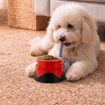 Personalised 3D Printed Elevated Dog Bowl with Name Stainless Steel Two Tone Raised Pet Diner Gift for Dog Owners