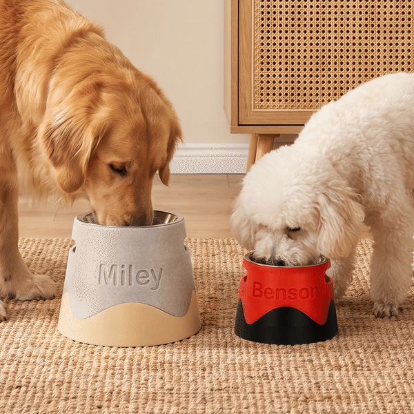 Personalised 3D Printed Elevated Dog Bowl with Name Stainless Steel Two Tone Raised Pet Diner Gift for Dog Owners
