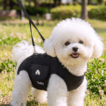 Personalisierte Hundetragetasche | mit Hunde-Porträt & Namen | Multifunktionale Reisetasche mit Schultergurt | Geburtstag Geschenk für Hundebesitzer