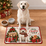 Personalized Cute Christmas Pet Portrait Pet Feeding Mat with Photo Home Decor Christmas Gift for Family Pet Owners