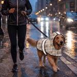 Personalized Classic Plaid Paw Print Waterproof Dog Raincoat with Name and Reflective Stripe Outdoor Essential Birthday Gift for Pet Owners