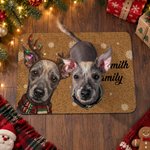 Paillasson antidérapant personnalisé avec portrait de chien ou de chat en forme de renne sous des lumières de Noël, avec inscription – Décoration de Noël, cadeau idéal pour les amoureux des animaux