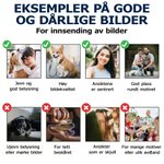 Personlig fotodesign keramisk kaffekopp på 12 oz med hank og navn til daglig bruk bursdagsgave til kjæledyreiere og familien