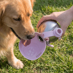 Personalised Bow Print Portable Pet Water Bottle with Name and Silicone Collapsible Bowl Pet Outdoor Supplies Birthday Gift for Pet Owners