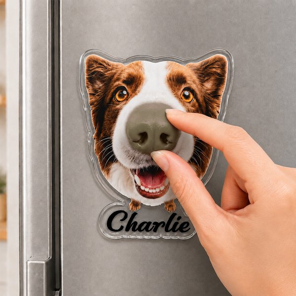 Personalisierter Acryl-Fotomagnet mit Hundefoto und 3D-Nase | mit Namen | Kühlschrankmagnet | Geburtstags- und Gedenkgeschenk für Hundebesitzer