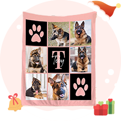 Plaids
