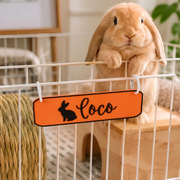 Personalized 3D Printed Cute Rabbit Bunny Silhouette Name Tag Pet Cage Sign Birthday Gift for Rabbit Lovers
