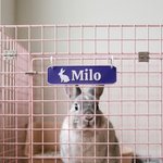 Etichetta personalizzata con sagoma di coniglietto carino stampata in 3D, cartellino per gabbia per animali domestici, regalo di compleanno per gli amanti dei conigli 4