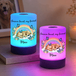 Luz nocturna LED táctil regulable personalizada con foto de tu mascota en el Puente del Arcoíris, con nombre y título, y mando a distancia: decoración para el hogar y regalo conmemorativo para propietarios de mascotas