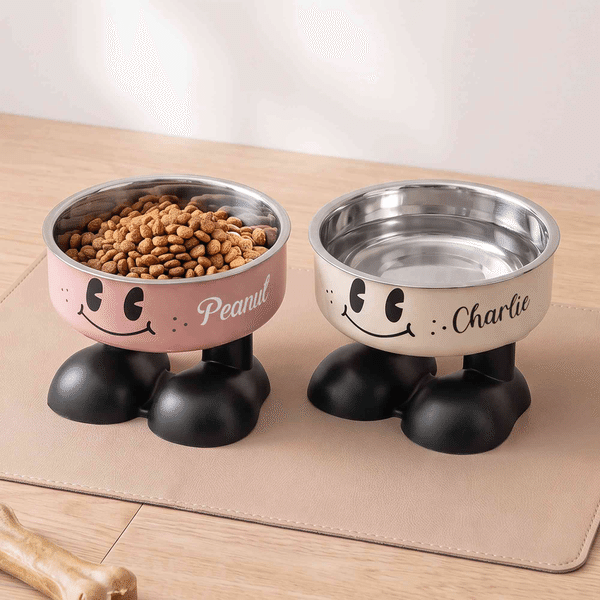 Personalized Cartoon Elevated Pet Bowl with Name, Dog Cat Food Water Feeder, Neck Protection, Birthday/Christmas Gift for Animal Lovers/Owners/Friends