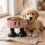 Personalised Cute Smile Face Stainless Steel Heavy Base Raised Pet Feeding Bowl with Name Birthday Gift for  Dog Cat Owners