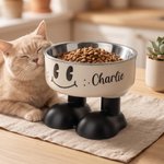 Personalised Cute Smile Face Stainless Steel Heavy Base Raised Pet Feeding Bowl with Name Birthday Gift for  Dog Cat Owners