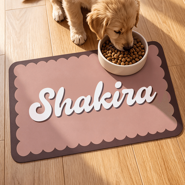 Personalized Retro Minimalist Color-Block Pet Feeding Mat with Name Pet Supplies Birthday Holiday Gift for Pet Owners